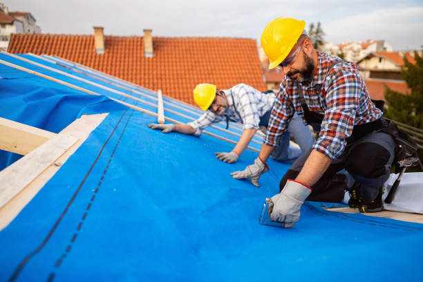 Best Chimney Flashing Repair  in Lancaster, TX